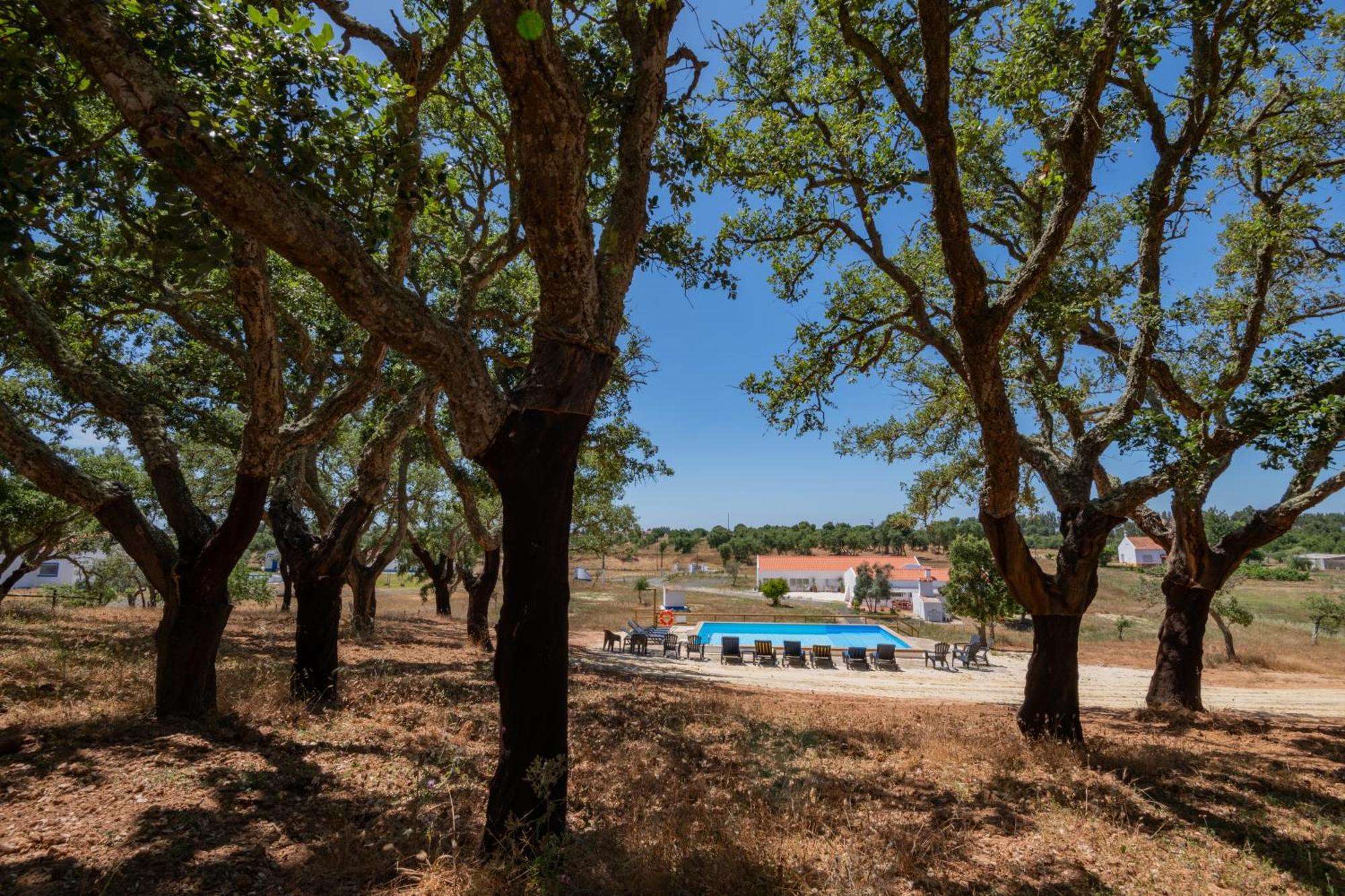 Valle D'Agua - Casas De Campo Vale de Agua ภายนอก รูปภาพ
